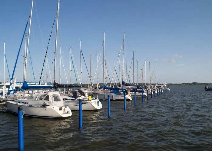 Sonnenreich * بابي