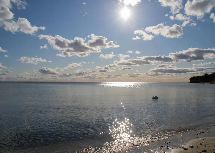 Sonnenreich * بابي